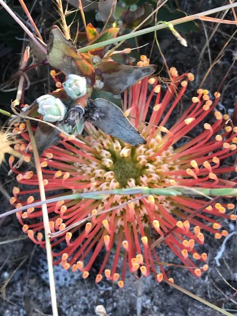 The Mains Guest House 2 Bedroom Farm Stay - Accommodation in Bendigo 18