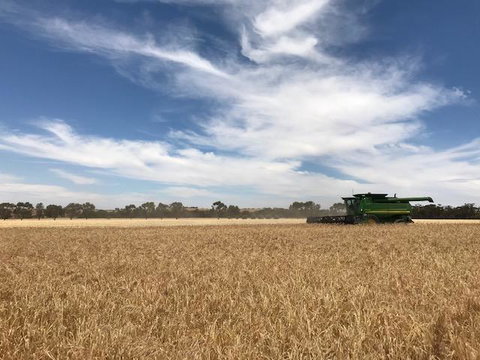 The Mains Guest House 2 Bedroom Farm Stay - Accommodation in Bendigo 17