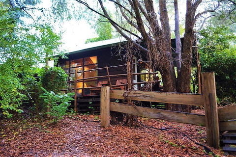 Black Cockatoo Lodge - Accommodation in Bendigo 4
