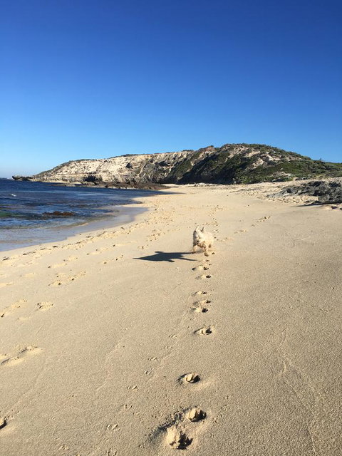 Aquatic Visions - Accommodation in Bendigo 36