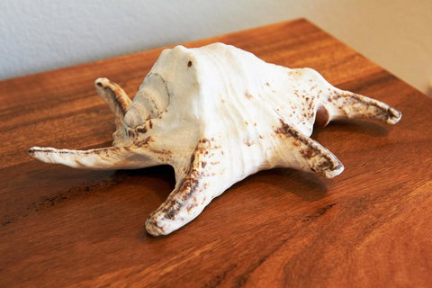 Aquatic Visions - Accommodation in Bendigo 40