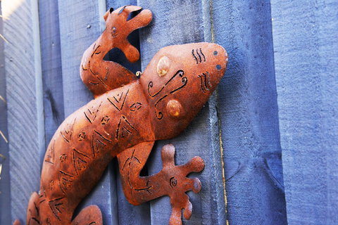 Aquatic Visions - Accommodation in Bendigo 38