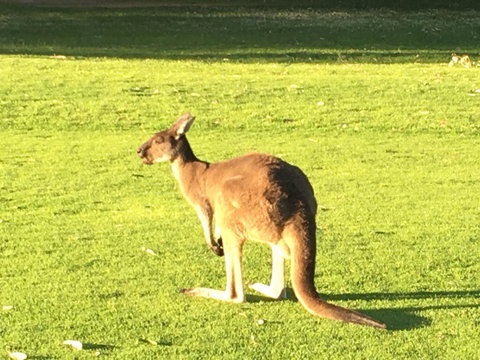 Aquatic Visions - Accommodation in Bendigo 41