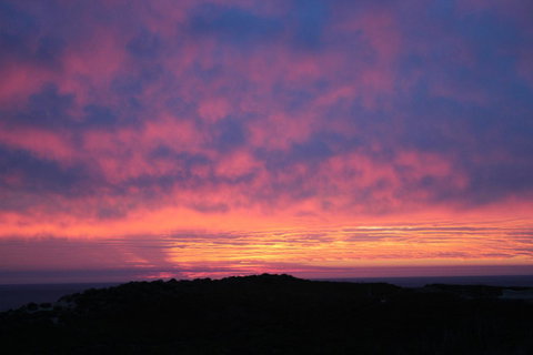 Aquatic Visions - Accommodation in Bendigo 43