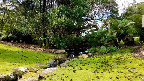 43 Degrees Bruny Island - Accommodation in Bendigo 8