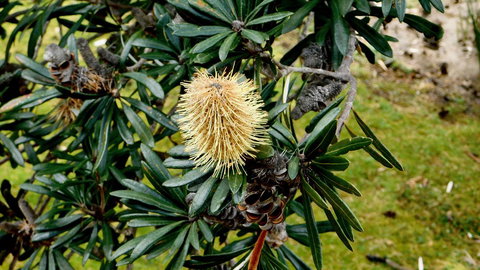 43 Degrees Bruny Island - Accommodation in Bendigo 11