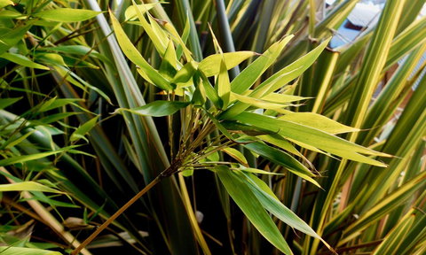 43 Degrees Bruny Island - Accommodation in Bendigo 10