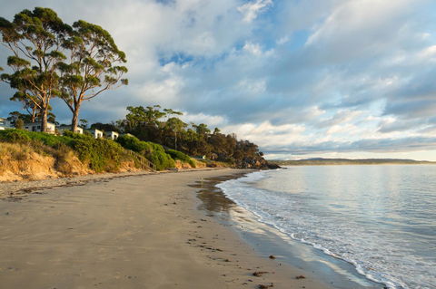 Swansea Beach Chalets - Accommodation in Bendigo 44
