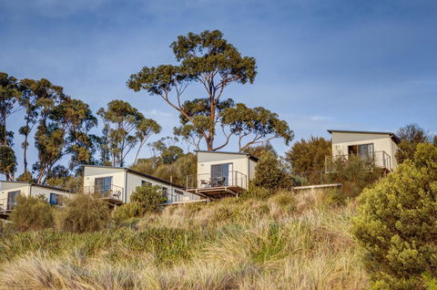 Swansea Beach Chalets - Accommodation in Bendigo 23