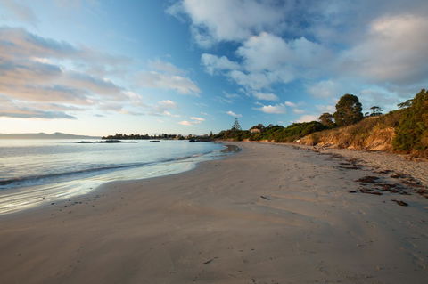 Swansea Beach Chalets - Accommodation in Bendigo 40