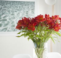 On The Beach Waterfront Apartment - Accommodation in Bendigo