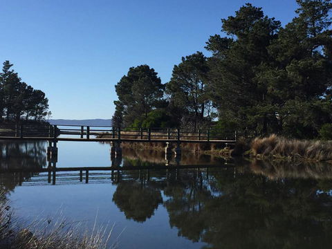 Swansea Holiday Park Tasmania - Accommodation in Bendigo 41