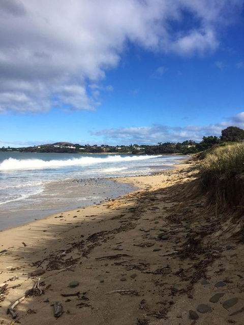 Swansea Holiday Park Tasmania - Accommodation in Bendigo 15