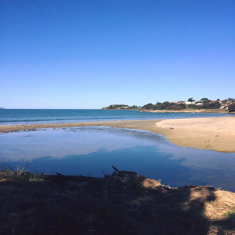 Swansea Holiday Park Tasmania - Accommodation in Bendigo 14