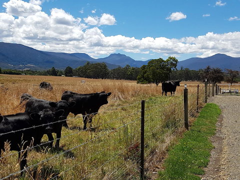 The Manager\'s Cottage - Accommodation in Bendigo 6