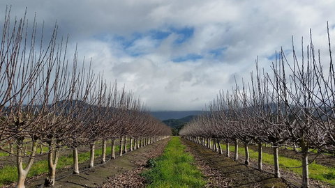 The Manager\'s Cottage - Accommodation in Bendigo 18