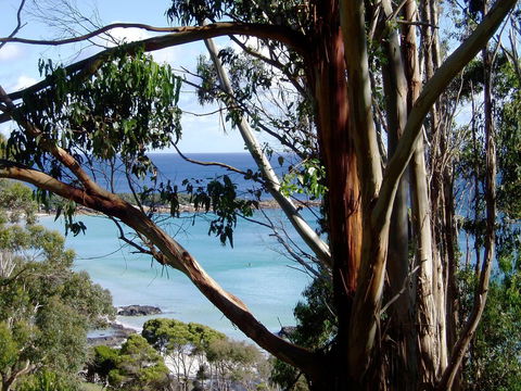 Seascape Beach House - Accommodation in Bendigo 8