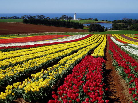 Seascape Beach House - Accommodation in Bendigo 27