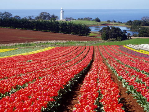 Seascape Beach House - Accommodation in Bendigo 26