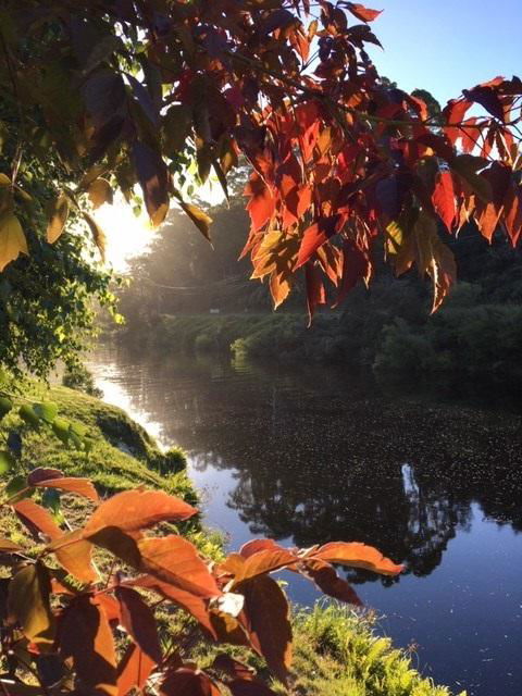 Forth River Cottage - Accommodation in Bendigo 4