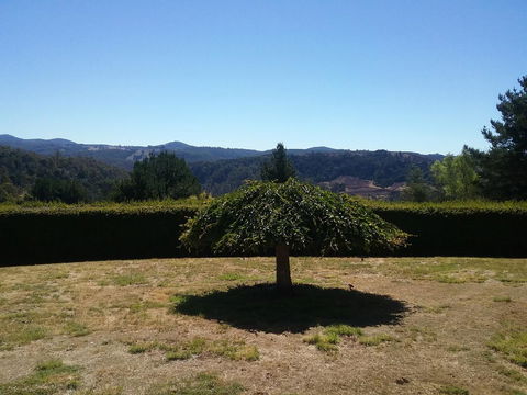 Robin\'s Nest B&B - Accommodation in Bendigo 28