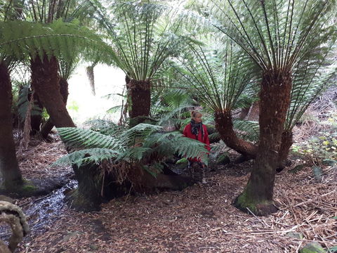 Robin\'s Nest B&B - Accommodation in Bendigo 9