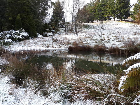 Robin\'s Nest B&B - Accommodation in Bendigo 25