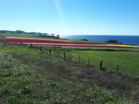 Robin\'s Nest B&B - Accommodation in Bendigo 26