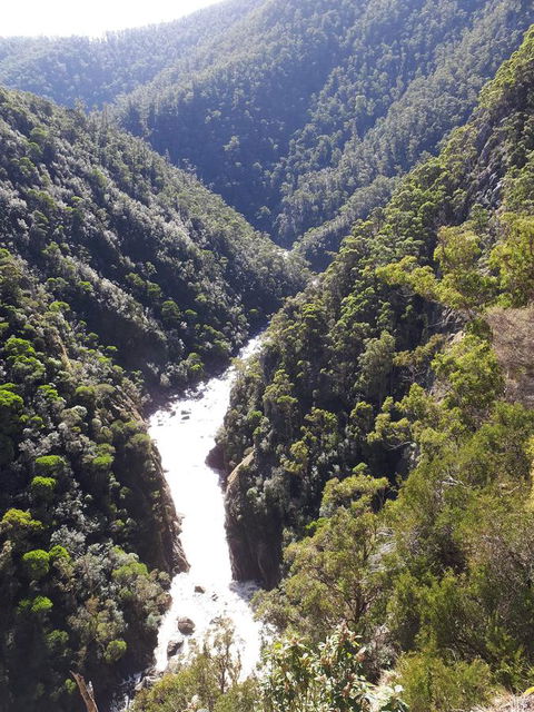 Robin\'s Nest B&B - Accommodation in Bendigo 22