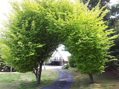 Robin\'s Nest B&B - Accommodation in Bendigo 10