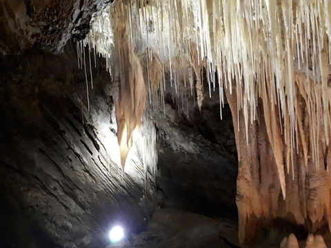 Robin\'s Nest B&B - Accommodation in Bendigo 29