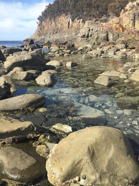 970 Adventure Bay Road - Accommodation in Bendigo 2