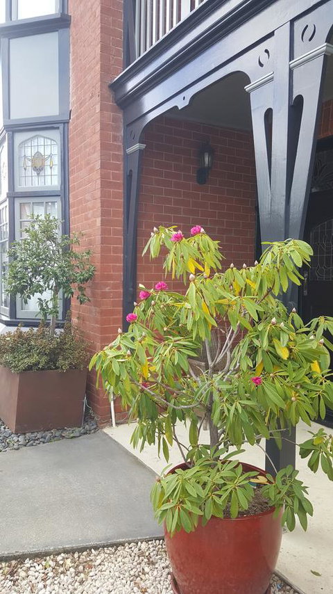 Insomnia On Elizabeth - Accommodation in Bendigo 35