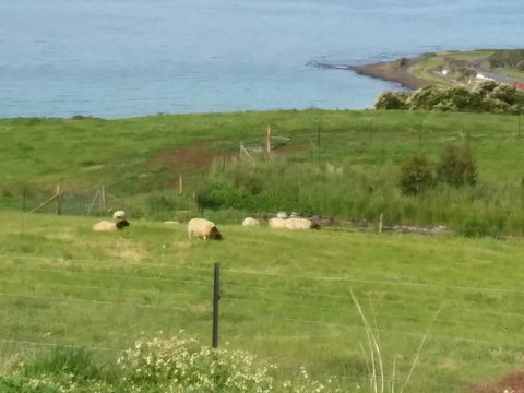 Penguin Seaside Farm - Accommodation in Bendigo 7