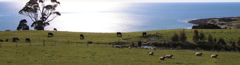 Penguin Seaside Farm - Accommodation in Bendigo 2