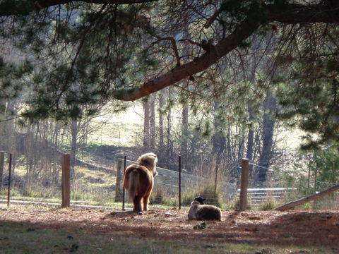 Post House Cottage - Accommodation in Bendigo 17