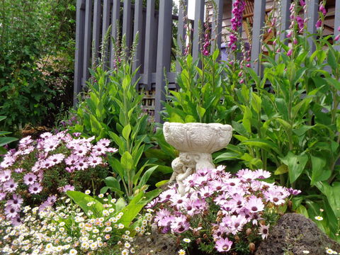 Post House Cottage - Accommodation in Bendigo 19