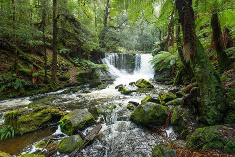 Post House Cottage - Accommodation in Bendigo 22