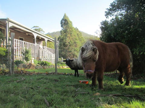 Post House Cottage - Accommodation in Bendigo 3