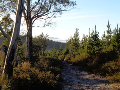 Post House Cottage - Accommodation in Bendigo 24