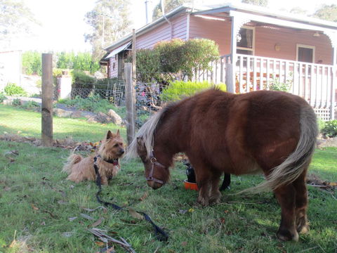 Post House Cottage - Accommodation in Bendigo 4