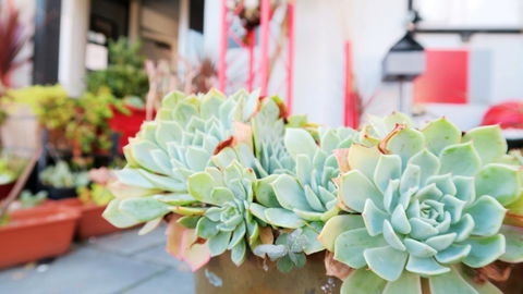 New Norfolk Junction Motel - Accommodation in Bendigo 27