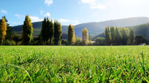 New Norfolk Junction Motel - Accommodation in Bendigo 16