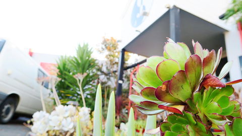 New Norfolk Junction Motel - Accommodation in Bendigo 32