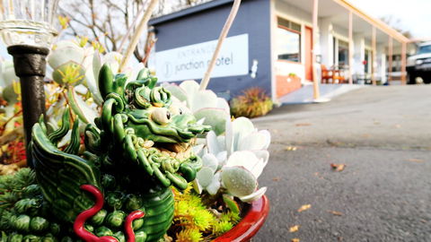 New Norfolk Junction Motel - Accommodation in Bendigo 29