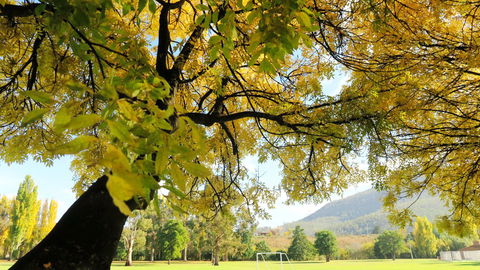 New Norfolk Junction Motel - Accommodation in Bendigo 17