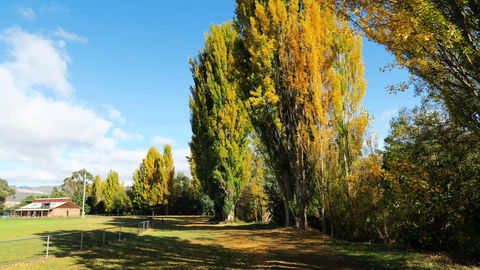 New Norfolk Junction Motel - Accommodation in Bendigo 15