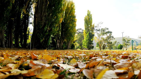 New Norfolk Junction Motel - Accommodation in Bendigo 19