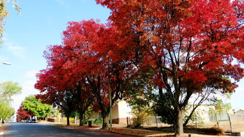 New Norfolk Junction Motel - Accommodation in Bendigo 22
