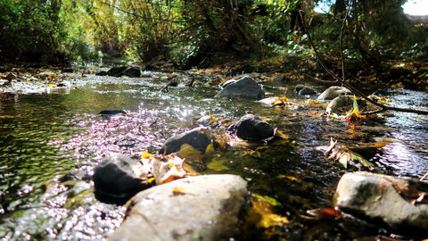New Norfolk Junction Motel - Accommodation in Bendigo 20